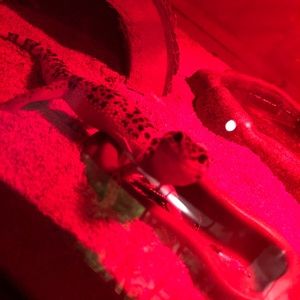 Meet your Posher, Jonathon